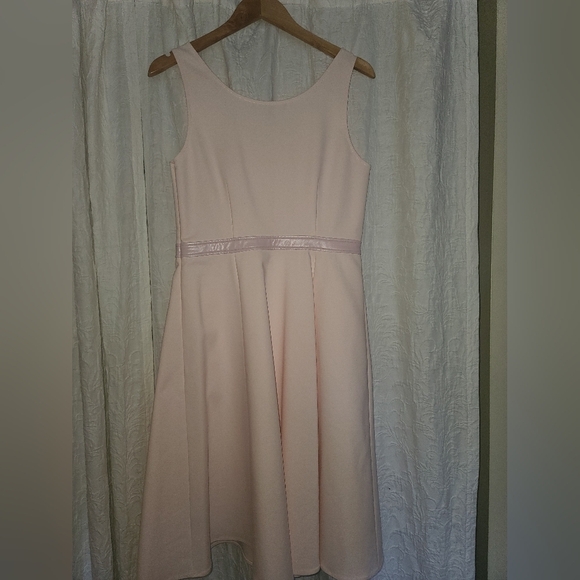 Cynthia Steffe rose mist fit and flare dress az 10 - Picture 7 of 7